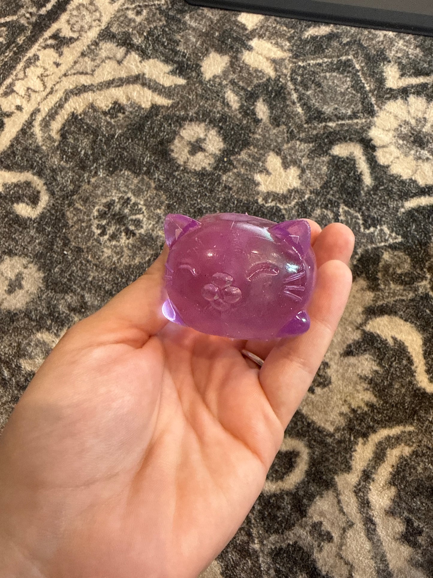 MYSTERY Sugar Cat