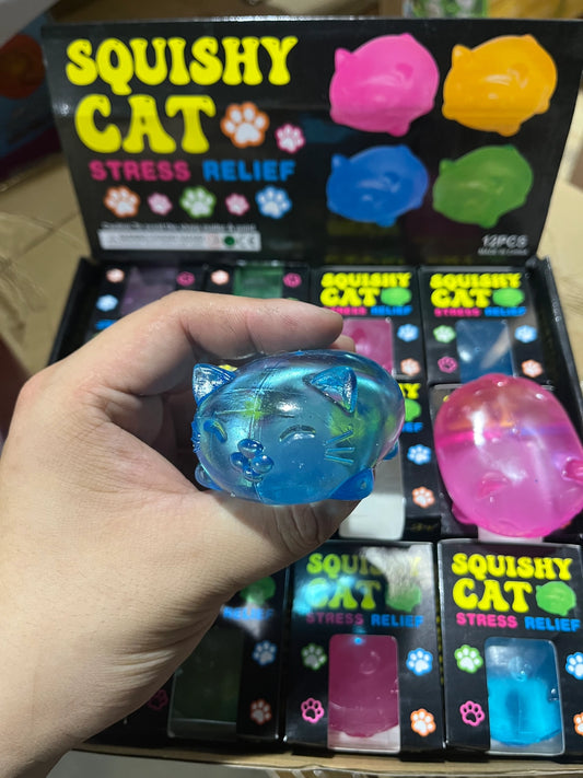 MYSTERY Sugar Cat